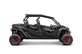 Buggy 4 places